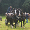 DSC 1205 - Paardenvierdaagse Barchem