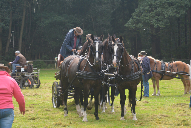 DSC 1205 Paardenvierdaagse Barchem