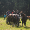 DSC 1206 - Paardenvierdaagse Barchem