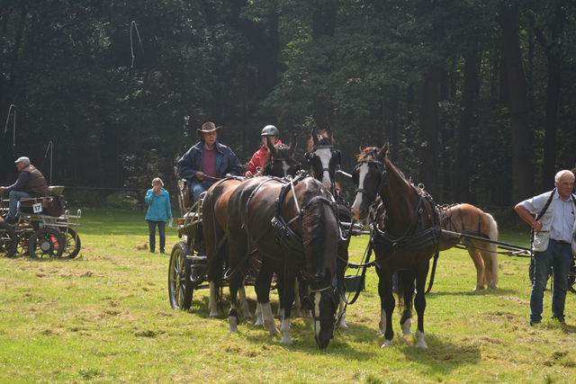 DSC 1206 Paardenvierdaagse Barchem