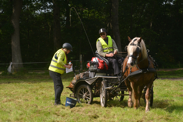 DSC 1207 Paardenvierdaagse Barchem