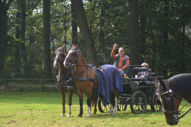 DSC 1208 Paardenvierdaagse Barchem