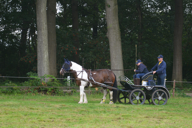 DSC 1210 Paardenvierdaagse Barchem