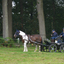 DSC 1210 - Paardenvierdaagse Barchem