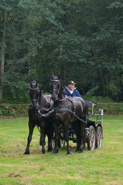 DSC 1217 Paardenvierdaagse Barchem