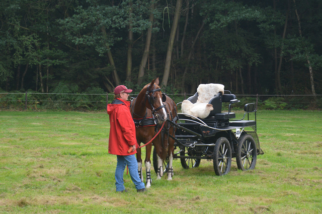 DSC 1218 Paardenvierdaagse Barchem