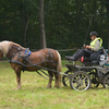 DSC 1221 - Paardenvierdaagse Barchem