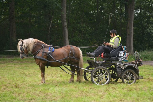 DSC 1221 Paardenvierdaagse Barchem