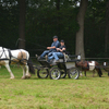 DSC 1223 - Paardenvierdaagse Barchem