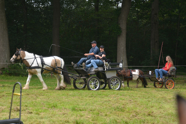 DSC 1223 Paardenvierdaagse Barchem