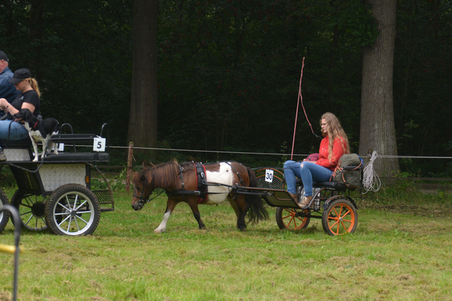 DSC 1225 Paardenvierdaagse Barchem