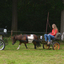 DSC 1225 - Paardenvierdaagse Barchem