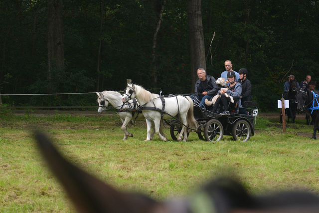 DSC 1226 Paardenvierdaagse Barchem