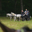 DSC 1226 - Paardenvierdaagse Barchem