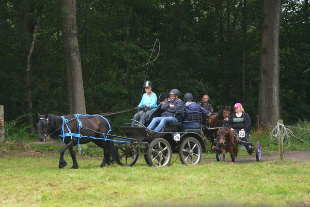 DSC 1227 Paardenvierdaagse Barchem