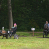 DSC 1229 - Paardenvierdaagse Barchem