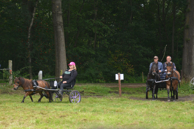 DSC 1229 Paardenvierdaagse Barchem