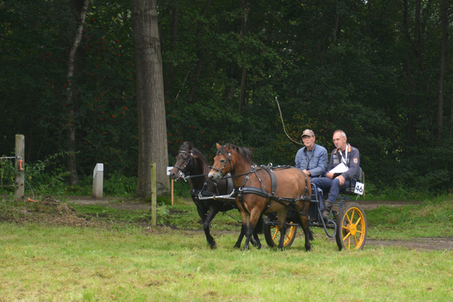 DSC 1230 Paardenvierdaagse Barchem