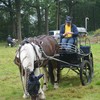 DSC 1237 - Paardenvierdaagse Barchem