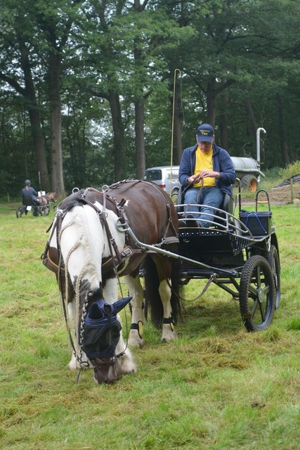 DSC 1237 Paardenvierdaagse Barchem