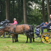 DSC 1246 - Paardenvierdaagse Barchem