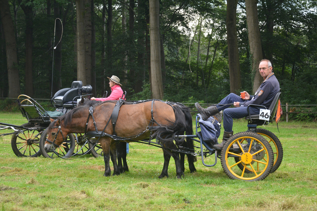 DSC 1246 Paardenvierdaagse Barchem