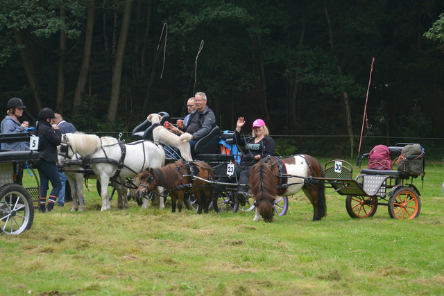 DSC 1247 Paardenvierdaagse Barchem