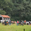 DSC 1254 - Paardenvierdaagse Barchem