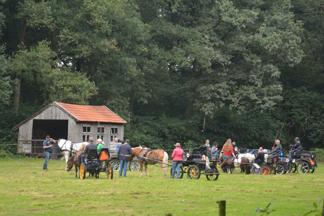 DSC 1254 Paardenvierdaagse Barchem