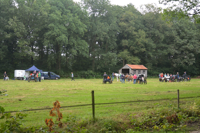 DSC 1257 Paardenvierdaagse Barchem