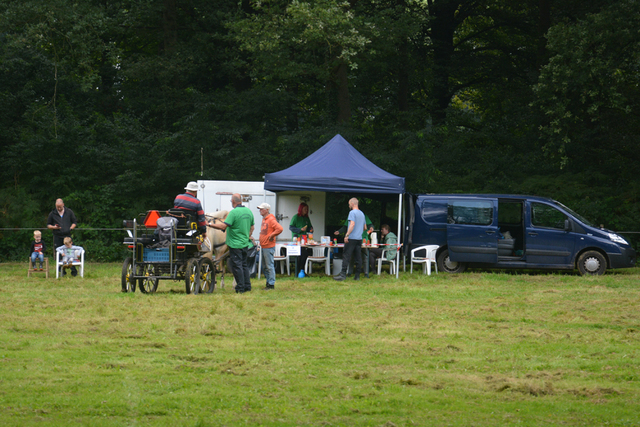 DSC 1259 Paardenvierdaagse Barchem