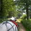 DSC 1265 - Paardenvierdaagse Barchem