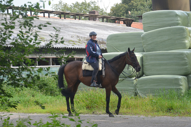 DSC 1273 Paardenvierdaagse Barchem