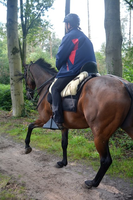 DSC 1280 Paardenvierdaagse Barchem