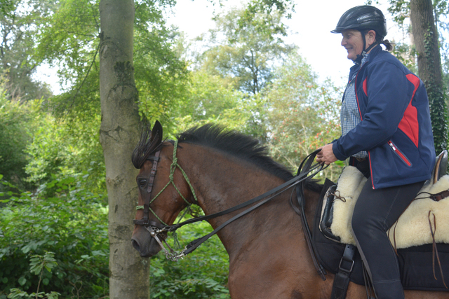 DSC 1283 Paardenvierdaagse Barchem