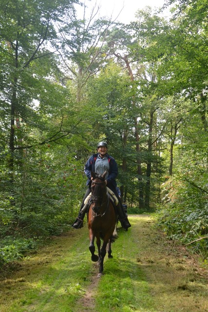 DSC 1285 Paardenvierdaagse Barchem