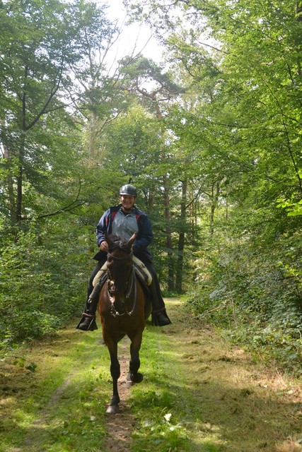 DSC 1287 Paardenvierdaagse Barchem