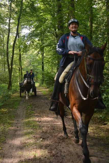 DSC 1293 Paardenvierdaagse Barchem