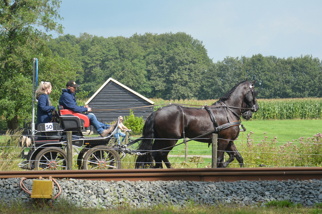 DSC 1309 Paardenvierdaagse Barchem