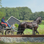 DSC 1309 - Paardenvierdaagse Barchem