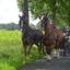 DSC 1316 - Paardenvierdaagse Barchem