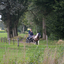 DSC 1335 - Paardenvierdaagse Barchem