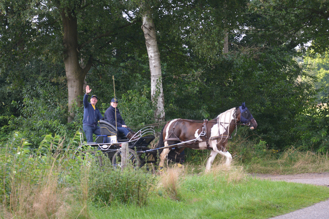 DSC 1336 Paardenvierdaagse Barchem