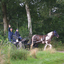 DSC 1336 - Paardenvierdaagse Barchem