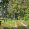 DSC 1339 - Paardenvierdaagse Barchem