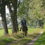 DSC 1350 - Paardenvierdaagse Barchem