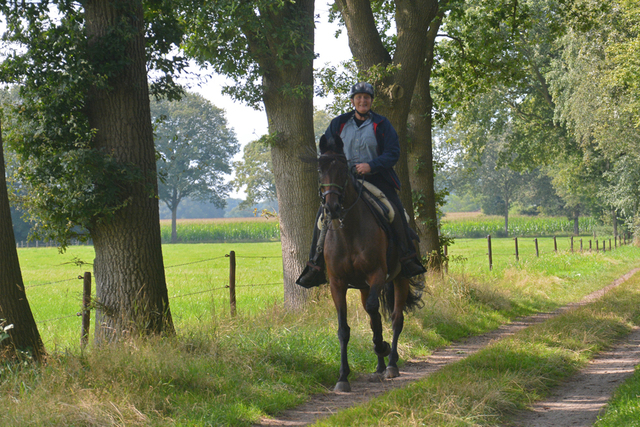 DSC 1354 Paardenvierdaagse Barchem