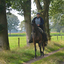 DSC 1354 - Paardenvierdaagse Barchem