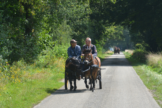 DSC 1360 Paardenvierdaagse Barchem