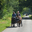 DSC 1360 - Paardenvierdaagse Barchem